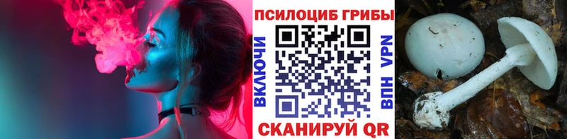 Галлюциногенные грибы мицелий  Грозный 